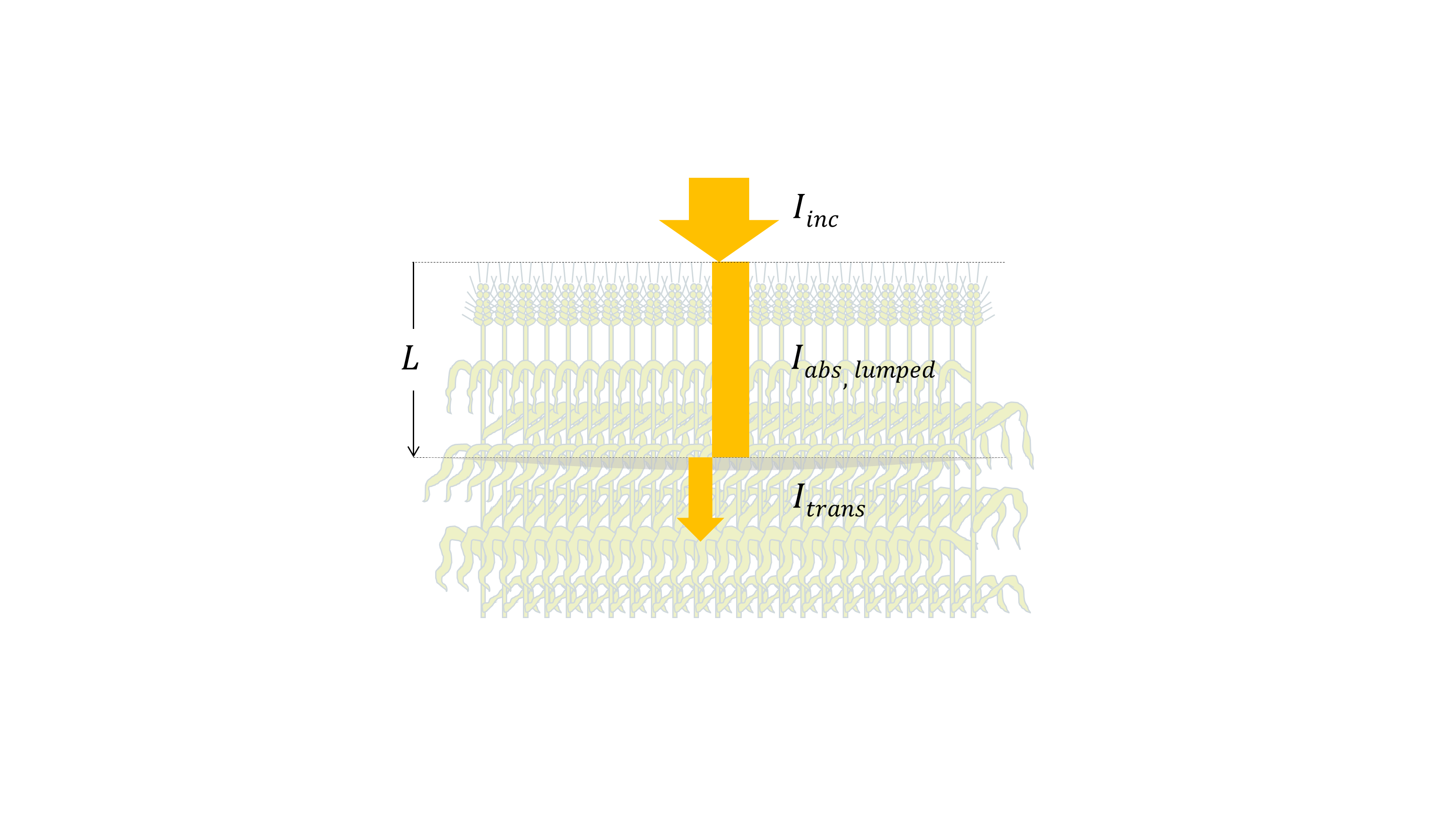 _images/absorption_lumped.png